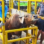 Dokumentasi RSJD Atma Husada Mahakam