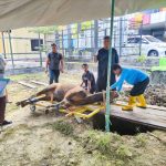 Dokumentasi RSJD Atma Husada Mahakam